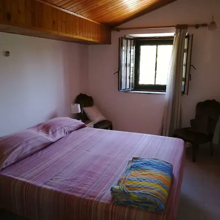 Oasi