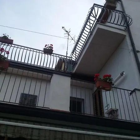 Oasi *